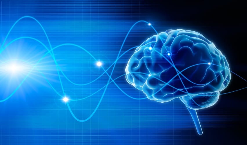 brain waves associated with information processing or problem solving are